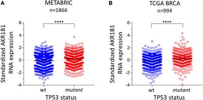 The p53 tumor suppressor regulates AKR1B1 expression, a metastasis-promoting gene in breast cancer